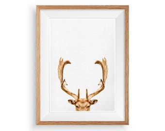 Deer Print, Antler Wall Decor, Printable Art, Animal Print, Deer Head Art, Woodland Animal Poster, Nursery Home Decor, Digital Download Art