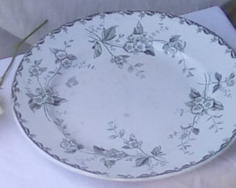French plate, green and white, Saint-Amand & Hamage Rosette design.