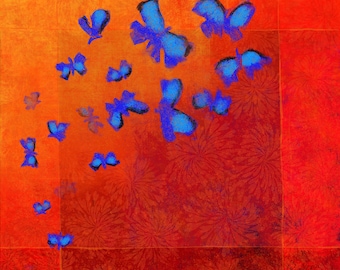 Blue morphos butterflies, red background