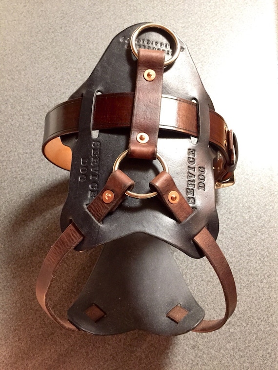 Leather Made Harnesses For Small Dogs Leather Made Harnesses For Small Dogs