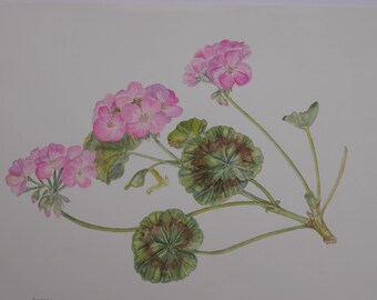Original Flower Painting