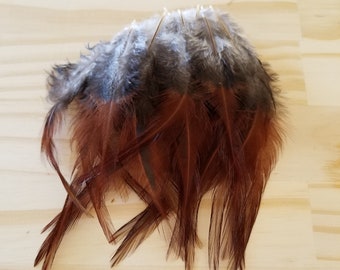 Chicken Feathers Cruelty Free Humane Naturally Molted Real Feathers #c59