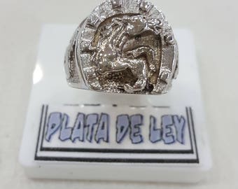 SEAL of solid silver Horseshoe with horse