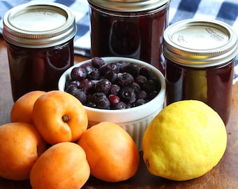 Apricot Blueberry Jam 8oz- TheSunshineJellyCo