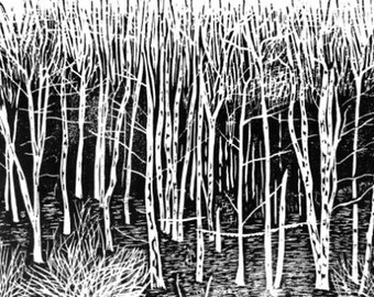 Birch Edge original woodcut print