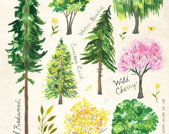 Trees | Nature Chart | Educational Wall Art | Outdoorsy | Katie Daisy | 8x10 | 11x14