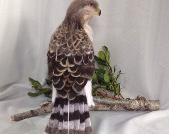 Needle Felted Juvenile Cooper's Hawk Ready to Ship