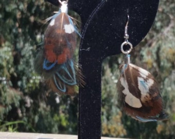 Blue Feather Earrings
