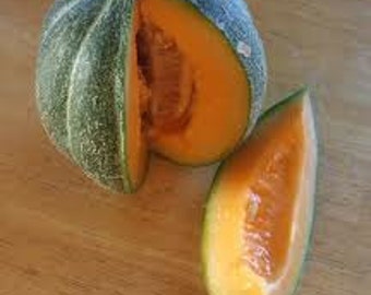 Melon / Cantaloupe Seeds - "Noir De Carmes Muskmelon' - Heirloom Seeds