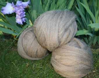 CVM Wool Combed Top - 4 oz.