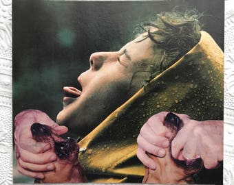 Raindrops, dog art, collage, take a pill, medicine, raindrops keep falling on my head, dogs