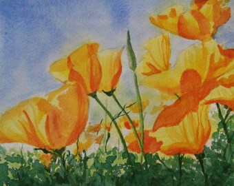 Original Watercolor Painting - "Corona Poppy Bloom"