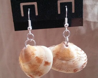 Natural Clam Shell Earrings