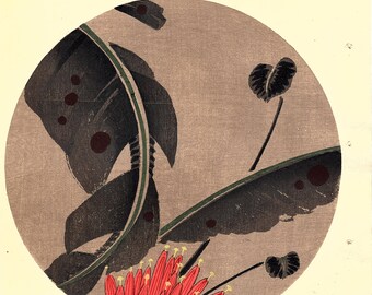 Japanese antique woodblock print, Ito Jakuchu, "Scarlet banana, from Jakuchu gafu"