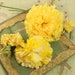 3 pieces vintage millinery flower lot yellow carnations lot vintage millinery flower corsage fall shades hat cloche bonnet dress 1930