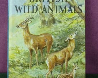Vintage Ladybird book series 536 British Wild Animals marked price 2'6 hardback