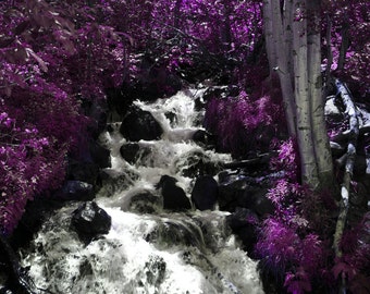 Violet Falls 8x10 Glossy print