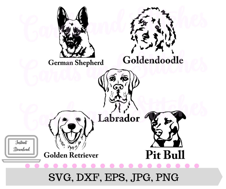 Download Dogs SVG Goldendoodle Labrador Dog Breeds SVG Digital