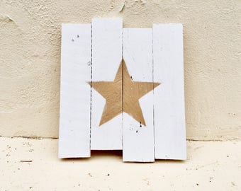Painting palette star