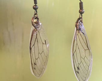 Cicada wing dangle earrings