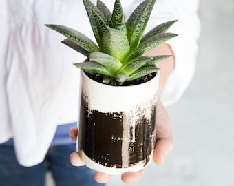 Ceramic Planter, Small Vase,Black And White Planter, Ceramic Succulent Planter, Modern Planter, Ceramic Pottery Gift