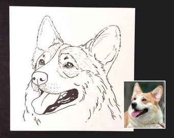 Custom pet portrait. Illustration. Your cat/dog/pet