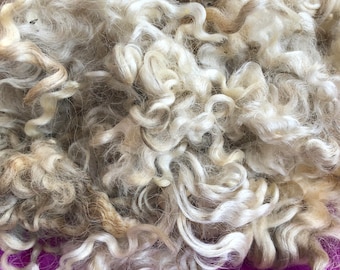 Raw Leicester Longwool yearling