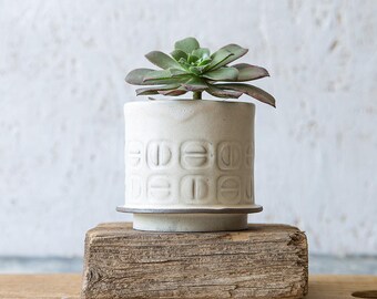 White Ceramic planter, Small Ceramic Planter, Succulent planter, Air plant holder, Modern textured planter, Indoor Planter, Gardening Gift