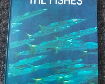 1969 The Fishes LIFE Nature Library Hardcover Book! Sharks! Rays!