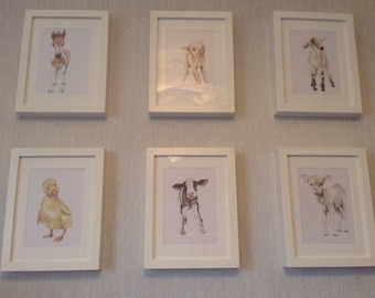 Nursery set of 6 prints/ baby farm animals/ watercolour/ watercolor prints/ baby goat/ foal/ cow/ lamb/ duckling/ piglet