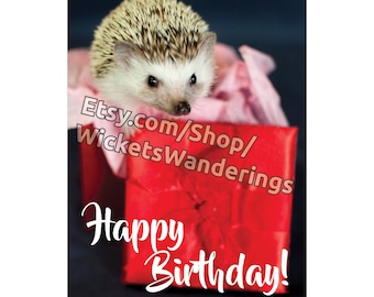 hedgehog Happy Birthday card