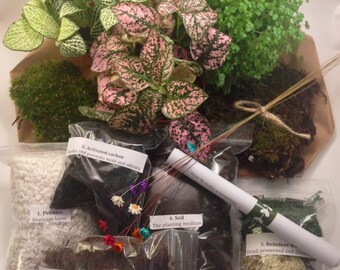 Fairy Garden Terrarium Kit