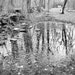 Art Prints -B&W from Secret Paradise Shop