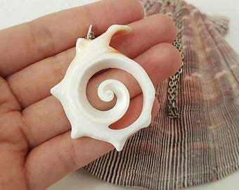 Turbo piece Turbo Seashell necklace/Necklace cut-out shell turbo