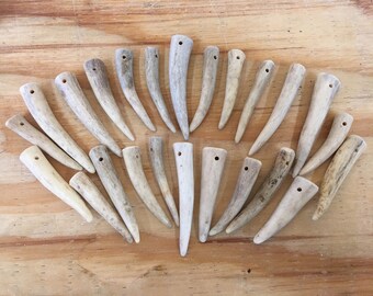 12- Drilled Antler Tips, Points, Pendants - Premium Grade A - Pick Your Size