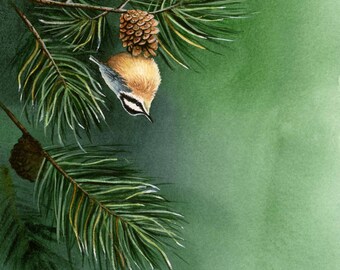 Red-Breasted Nuthatch watercolor, bird watercolor painting, bird painting watercolor, bird print, bird art print
