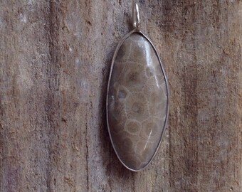 Sweet Petoskey Stone Pendant