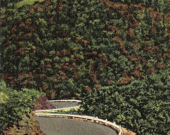 Eureka Springs, Arkansas, Highway 62 - Vintage Postcard - Postcard - Unused (PP)