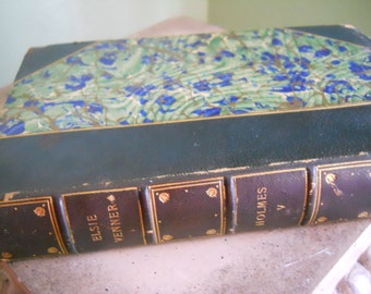 Elsie Venner Book by Oliver Wendall Holmes 1891