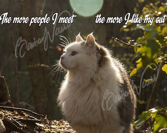 Instant download file - print as you like - cat in the forest - nice phrase - cat-lovers