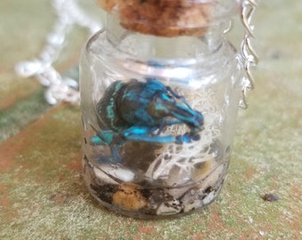weevil beetle pendant