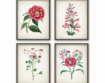 Antique Flowers Wall Art Print Set of 4 - Antique Botanical Home Decor - Pink and Red Flowers Wall Art Set of Four (B121)