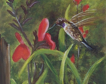 The hummingbird in the yard aceo Limited edition