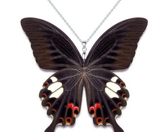 Real Butterfly Wing Necklace / Pendant (WHOLE Papilio Helenus - W082)