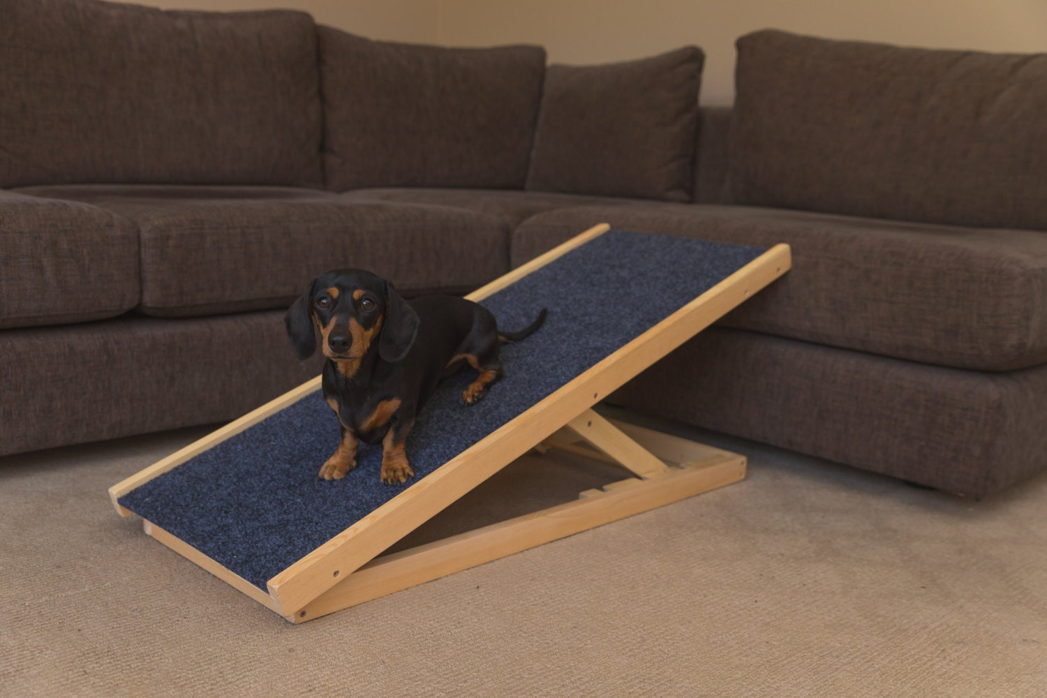 Dog Ramp For Car Pets At Home / Dog Ramps for Cars: Amazon.co.uk / Pet