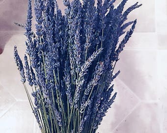 Lavender Stems 2 Bunches Bundles Stems 2017 Fragrant dried lavender for bouquets weddings Grosso English *BEST SELLER*