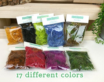 17 different mosses to choose from