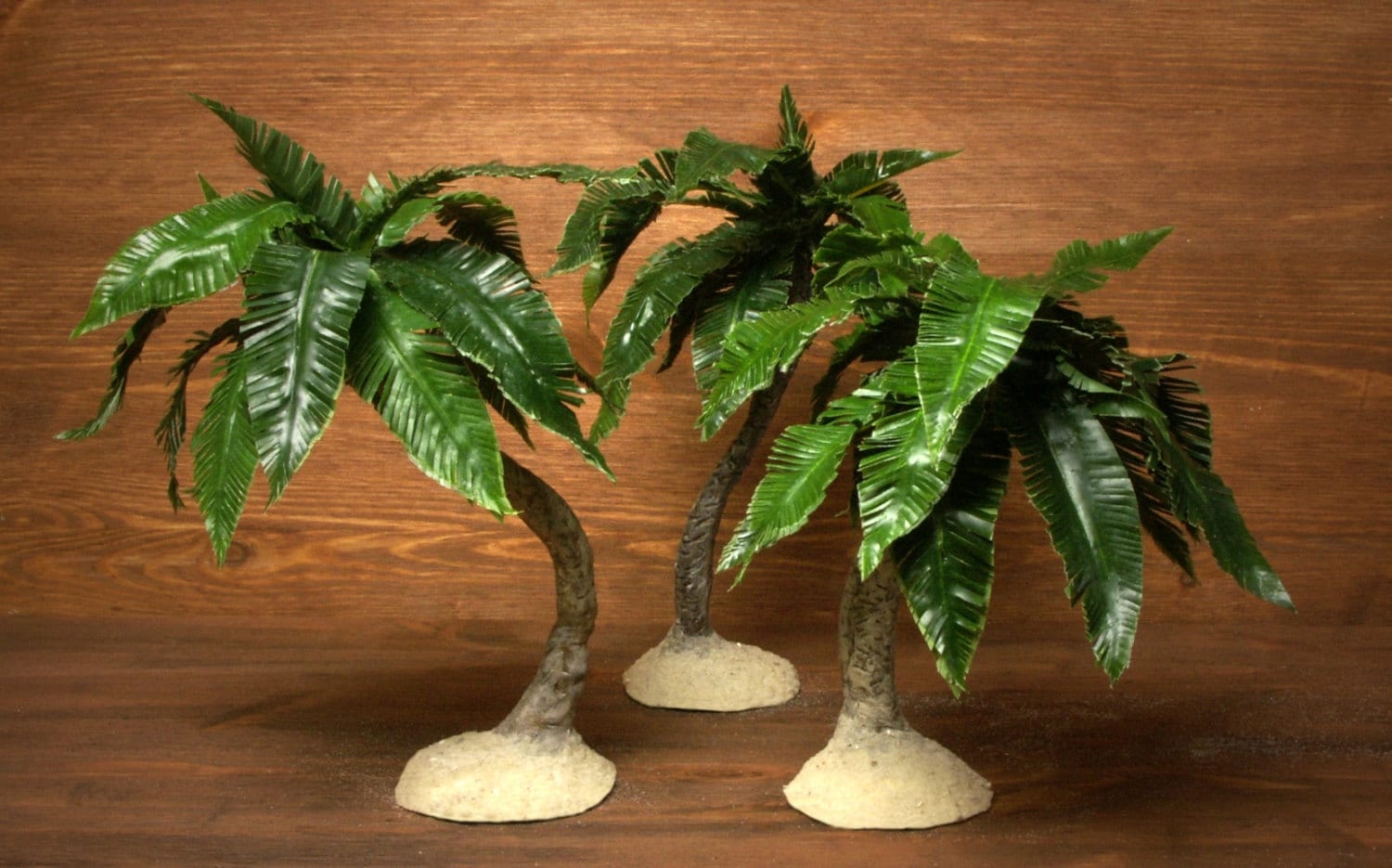 miniature-palm-tree