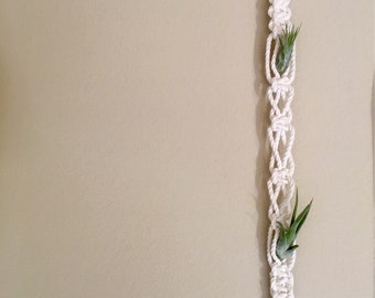 Poppy- Macrame Air Plant Holder