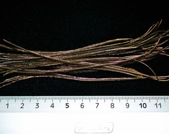 40 Erl natural blue green peacock feathers